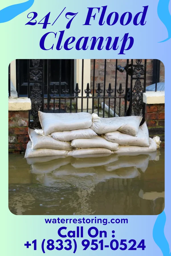 24/7 Flood Cleanup in Industry, TX