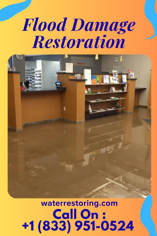 Flood Damage Restoration in Industry, TX