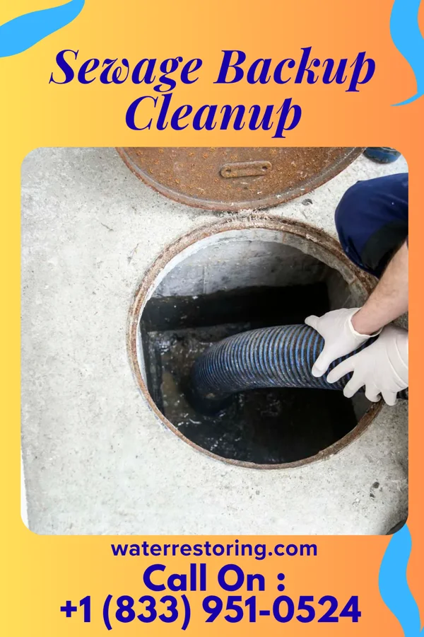 Sewage Backup Cleanup in Industry, TX
